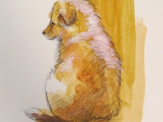 待ちぼうけの子犬の画像