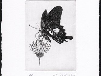 蝶とアザミ / 銅版画 (作品のみ）の画像