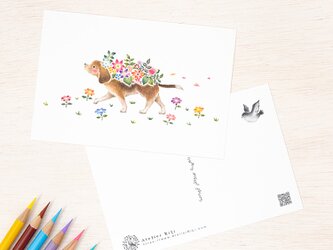 5枚セット。絵本のような。ポストカード "花を飾った犬のチェロ" PC-310の画像