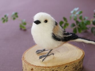 シマエナガ・首かしげ左の画像