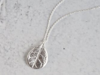 Feijoa leaf necklace (small) [P076SV]の画像