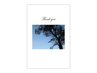 青い木の39cardの画像