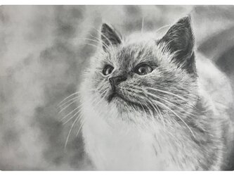 【肖像画】細密鉛筆画（オーダー）・Ａ４サイズ～の画像