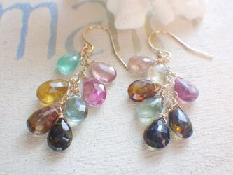 ☆再販☆　Autumn Leaves　*14kgf*の画像
