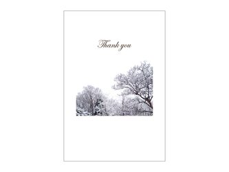 雪化粧の39cardの画像