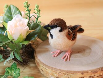 羊毛フェルト　小さな野鳥（仔スズメのみ）の画像
