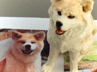 秋田犬（うちの子オーダー参考）の画像