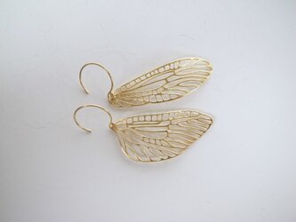 epemera　/　GPの画像