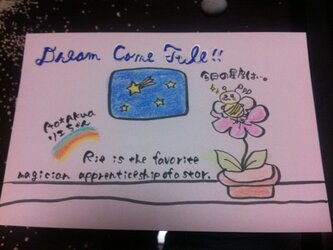 DREAM　CAME　TULE☆彡2枚セットの画像