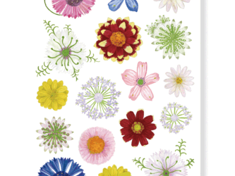 ポストカード　小さな花いろいろ（２枚組）の画像