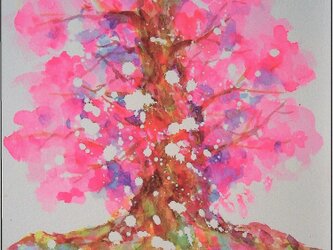 千年樹(桜花爛漫)の画像