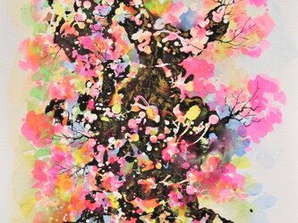 千年桜の画像