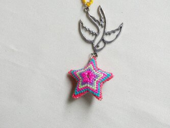 star swallowの画像