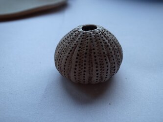 nature work ウニ殻の画像