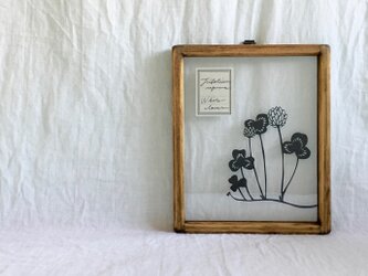 【植物標本シリーズ】シロツメクサの切り絵フレームの画像