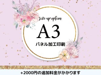 【オプション】A3パネル加工印刷の画像