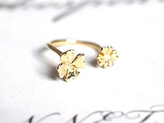 iNG -clover 2 ring-の画像