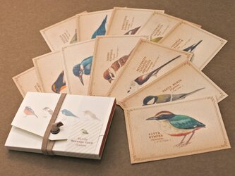 野鳥の図鑑風メッセージカード（専用ケース付き）の画像