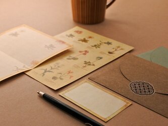 高山植物の図鑑風レターセットの画像
