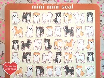 204和犬ころころ❤ミニミニシールの画像