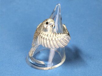 しがみつきインコ指輪の画像