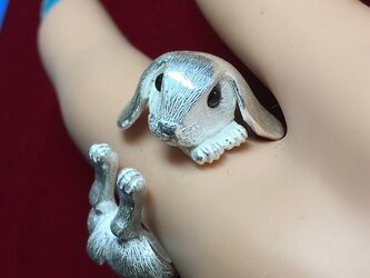 遊びたいウサギの画像