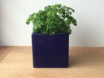 フラワーベース 瑠璃の画像