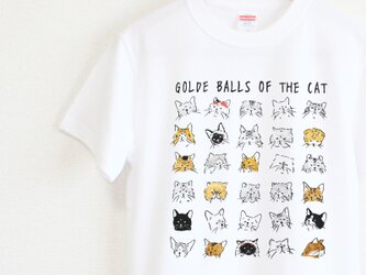 猫の尻Ｔシャツ　メンズタイプの画像