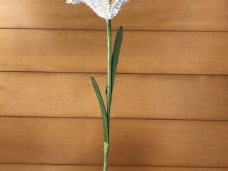 ラタン（籐）の花　～白いユリ～の画像