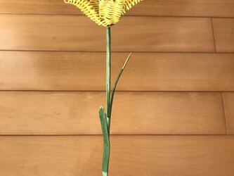 ラタン（籐）の花　～黄色のユリ～の画像