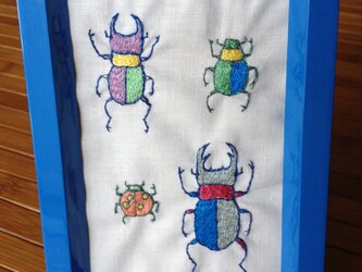 カラフル甲虫標本の画像