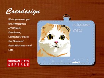 湘南Catsパスケース　002 スコティッシュフォールド　ストラップ付の画像