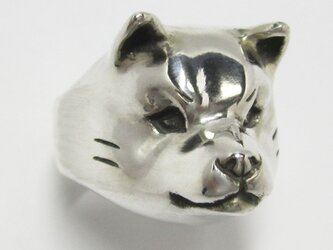 柴犬/仔犬RING（小）の画像