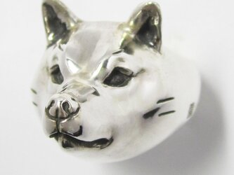 柴犬/成犬RING（中）の画像