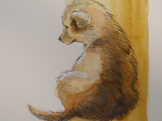 待ちぼうけの子犬-2の画像