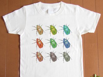 受注プリント全４色☆Ｔシャツ「カラフルかなぶん」オリジナルデザイン☆大人から子供 まで全てのサイズ対応 　虫 　昆虫の画像