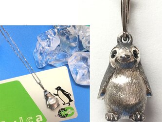 ベビーペンギンの画像