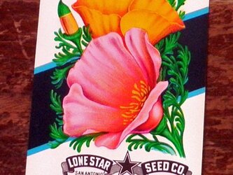 【H】Vintage シードパッケージ U.S.A. DA-SD010の画像