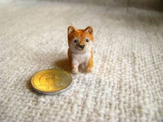 O様ご予約品 小さな小さな豆柴(木彫り)の画像