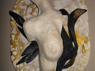 糸杉の影の画像
