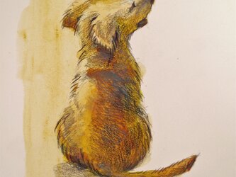 待ちぼうけの子犬-4の画像