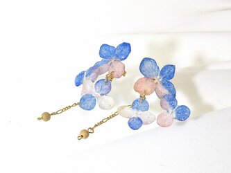 アジサイの花舞うピアス(天然ラピスラズリ・桃色珊瑚）14kgf・《イヤリング可》の画像