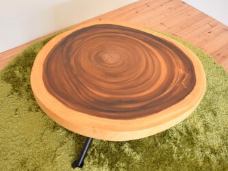 コンパクトなサイズのモンキーポッド一枚板輪切りのリビングテーブルの画像