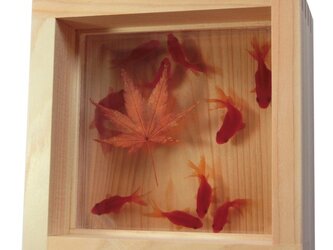 金魚アート 3D金魚 「扇 紅葉」 プレゼント もみじ プリザーブドフラワー 誕生日 結婚 退職 還暦 祝い ギフト 贈り物の画像