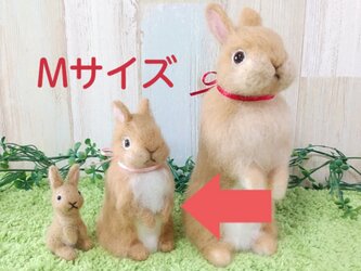 【ｵｰﾀﾞｰ】うさぎMサイズの画像