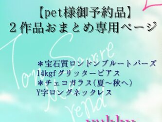 pet様御予約品】2作品おまとめ専用ページ | iichi ハンドメイド