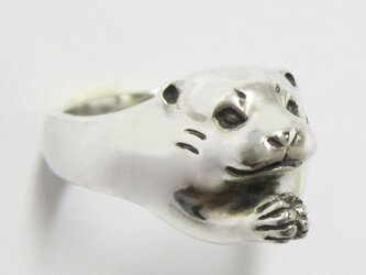 川獺（カワウソ）RINGの画像
