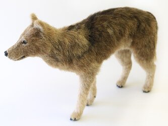 【ご依頼品】羊毛フェルト　オオカミの画像