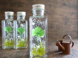 植物ノ瓶詰メ標本Collection　「四つ葉のクローバー」の画像