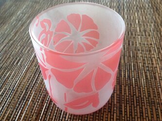 カワイイ系ピンクの朝顔グラスの画像